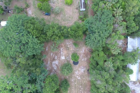 Land in DeLand, Florida № 1780668 - photo 3