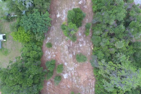 Land in DeLand, Florida № 1780668 - photo 5