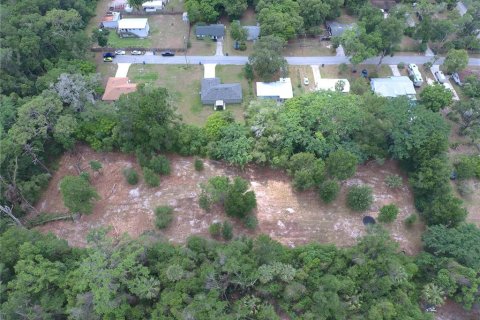 Land in DeLand, Florida № 1780668 - photo 8