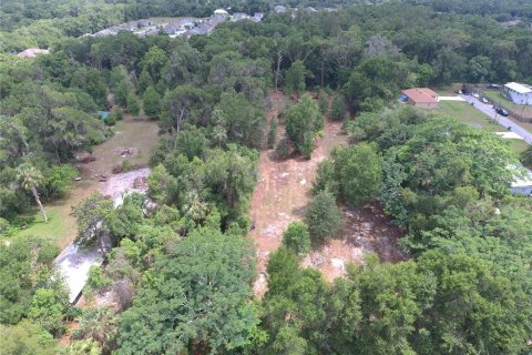 Land in DeLand, Florida № 1780668 - photo 10