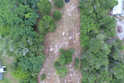 Land in DeLand, Florida № 1780668 - photo 4