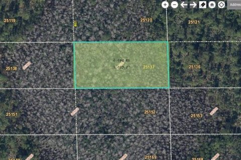 Land in Orlando, Florida № 2161387