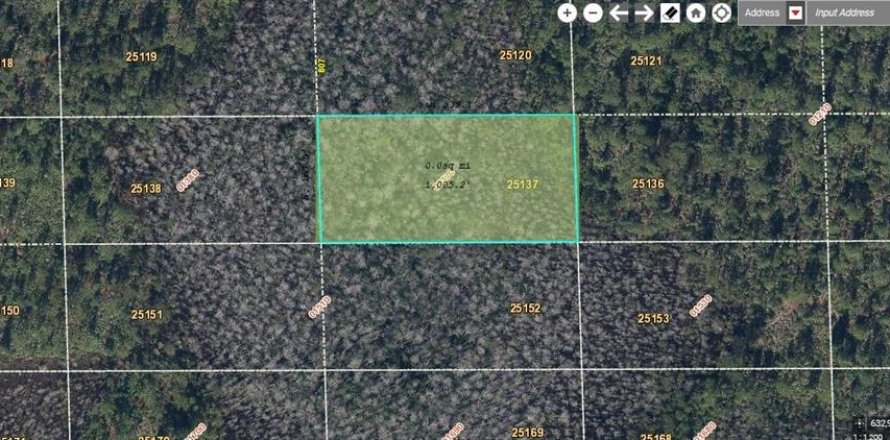 Land in Orlando, Florida № 2161387