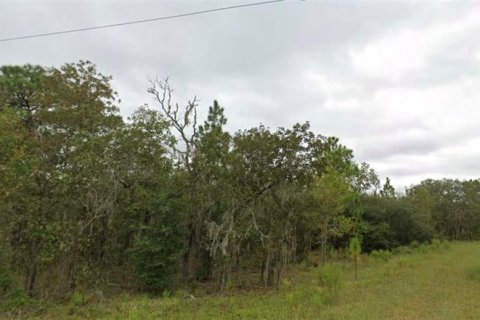 Land in Williston, Florida № 2232768