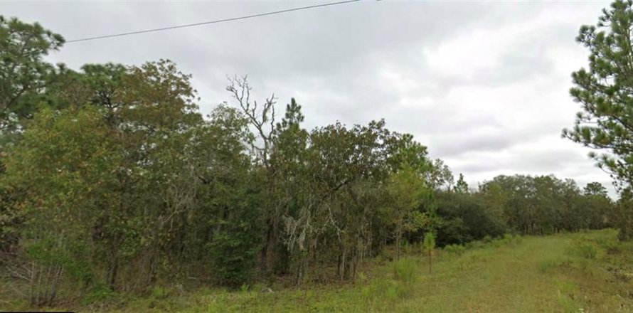 Land in Williston, Florida № 2232768