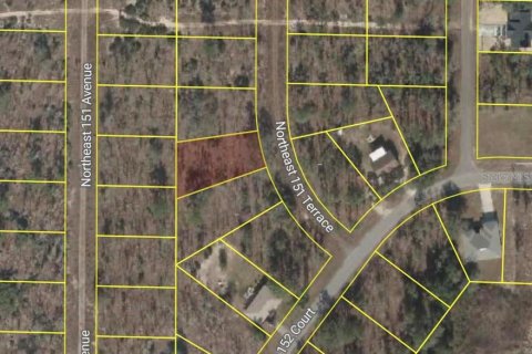 Land in Williston, Florida № 2232768 - photo 2