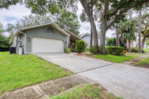 House in Palm Harbor, Florida 3 bedrooms, 176.14 sq.m. № 2378007