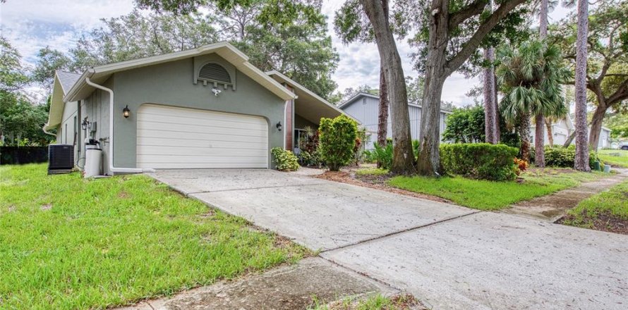 House in Palm Harbor, Florida 3 bedrooms, 176.14 sq.m. № 2378007