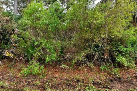 Land in North Port, Florida № 2159529