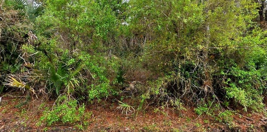Terreno en North Port, Florida № 2159529
