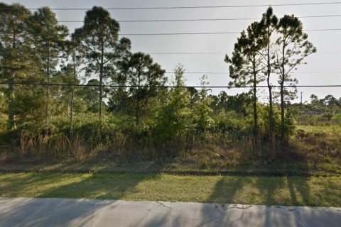 Land in Palm Bay, Florida № 2161843