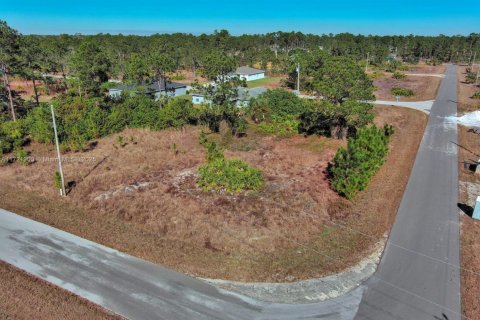 Land in Lehigh Acres, Florida № 2158127 - photo 3