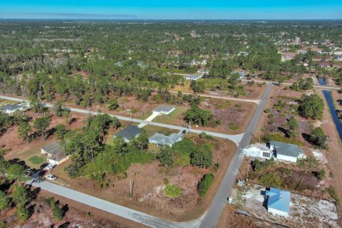 Land in Lehigh Acres, Florida № 2158127 - photo 9
