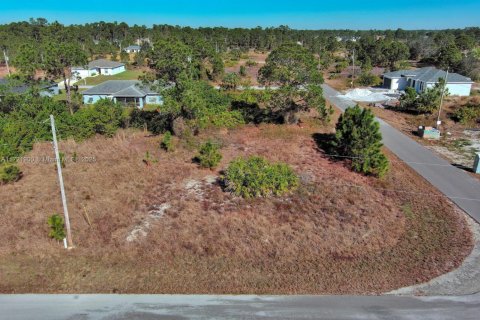 Land in Lehigh Acres, Florida № 2158127 - photo 5