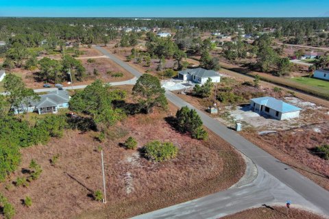 Land in Lehigh Acres, Florida № 2158127 - photo 7