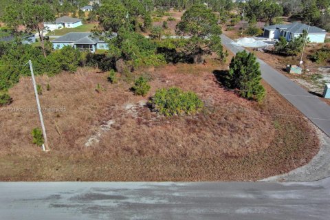 Land in Lehigh Acres, Florida № 2158127 - photo 4