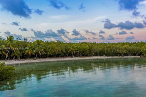 Купить виллу или дом в Ки-Ларго, Флорида 8 спален, 831.38м2, № 1985069 - фото 15