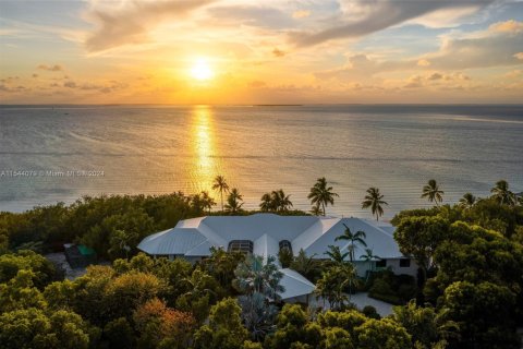 Купить виллу или дом в Ки-Ларго, Флорида 8 спален, 831.38м2, № 1985069 - фото 17