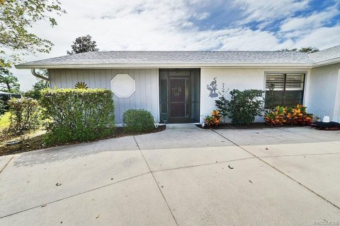 Villa ou maison à vendre à Hernando, Floride: 3 chambres, 130.99 m2 № 1907967 - photo 4