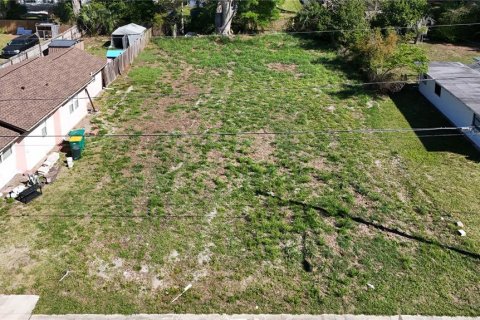 Terrain à Eustis, Floride № 2105897