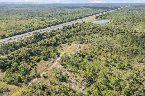 Land in Oak Hill, Florida № 1803765 - photo 4