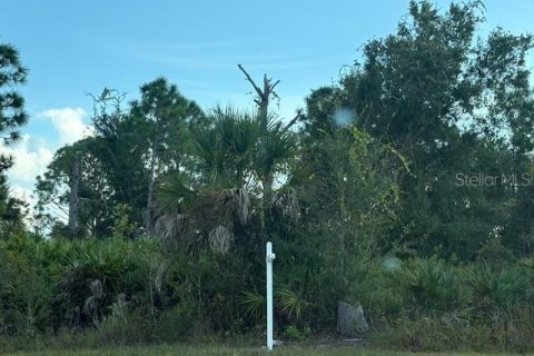 Land in Port Charlotte, Florida № 2162738 - photo 2