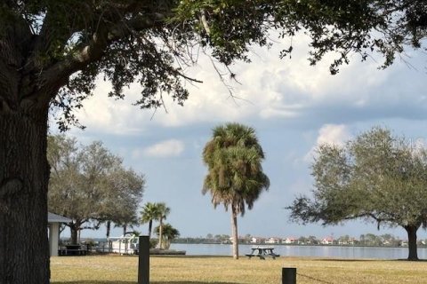 Land in Port Charlotte, Florida № 2162738 - photo 7
