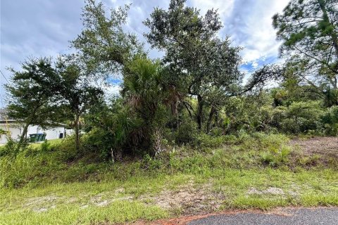 Land in North Port, Florida № 2224170 - photo 5