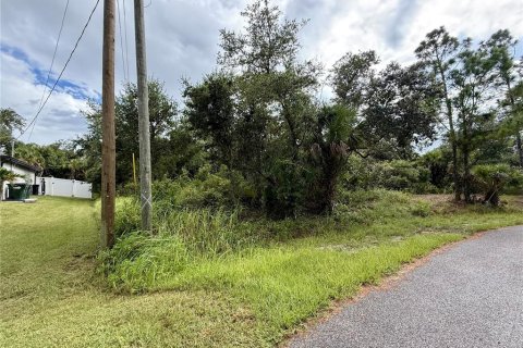 Land in North Port, Florida № 2224170 - photo 4