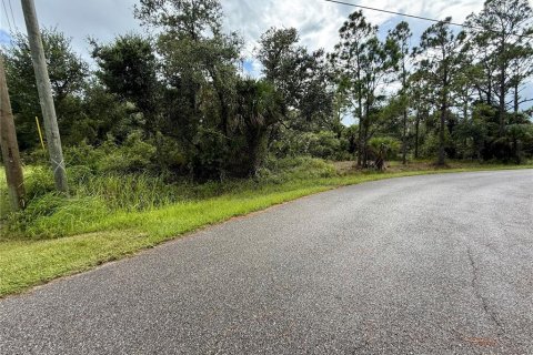 Land in North Port, Florida № 2224170 - photo 2