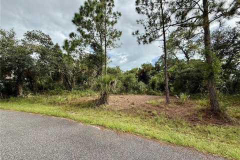 Land in North Port, Florida № 2224170 - photo 9
