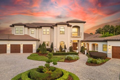 Villa ou maison à vendre à Thonotosassa, Floride: 7 chambres, 722.97 m2 № 1385159 - photo 1