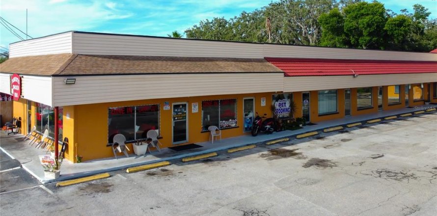 Propiedad comercial en Holiday, Florida 60.01 m2 № 1903376