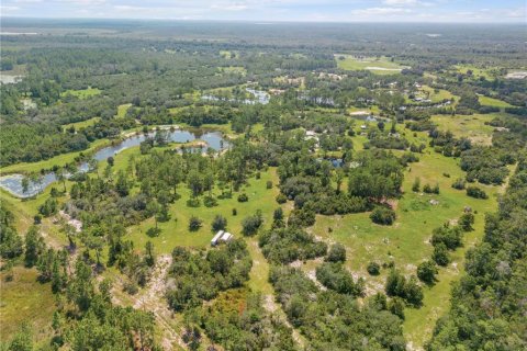 Terrain à vendre à DeLand, Floride № 1570477 - photo 18
