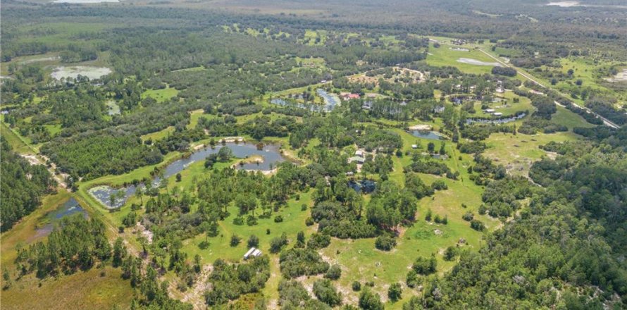 Terrain à DeLand, Floride № 1570477