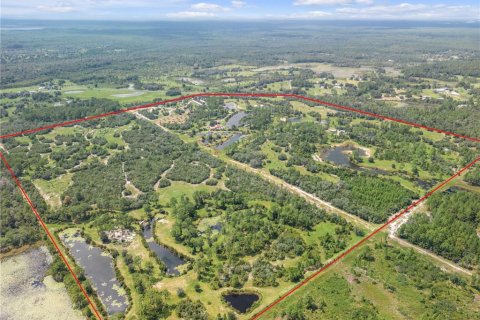 Terrain à vendre à DeLand, Floride № 1570477 - photo 4