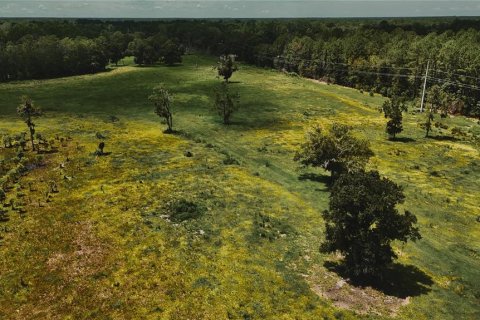 Terreno en venta en Starke, Florida № 2308711 - foto 8