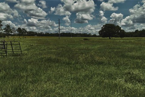 Terreno en venta en Starke, Florida № 2308711 - foto 23