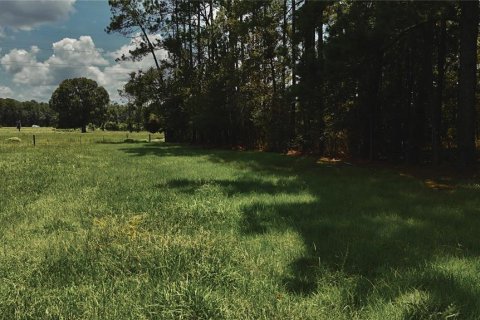 Terreno en venta en Starke, Florida № 2308711 - foto 28