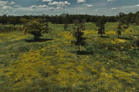 Terreno en venta en Starke, Florida № 2308711 - foto 9