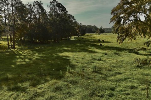Terreno en venta en Starke, Florida № 2308711 - foto 15