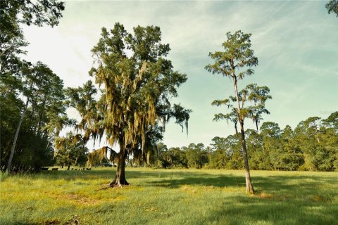 Terreno en venta en Starke, Florida № 2308711 - foto 13