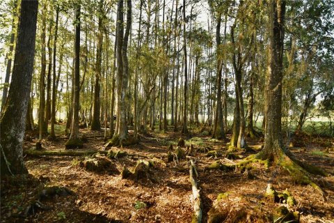Terreno en venta en Starke, Florida № 2308711 - foto 17
