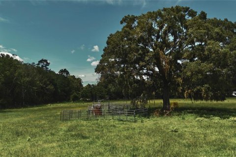 Terreno en venta en Starke, Florida № 2308711 - foto 4