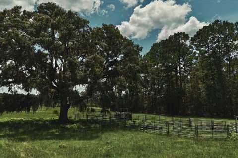 Terreno en venta en Starke, Florida № 2308711 - foto 27