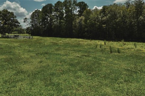 Terreno en venta en Starke, Florida № 2308711 - foto 11