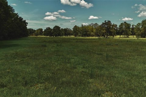 Terreno en venta en Starke, Florida № 2308711 - foto 24