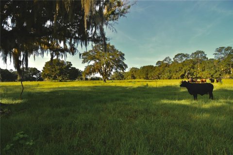 Terreno en venta en Starke, Florida № 2308711 - foto 18