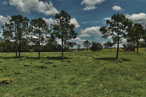 Terreno en venta en Starke, Florida № 2308711 - foto 6