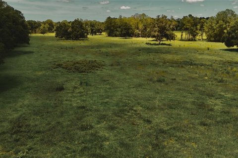 Terreno en venta en Starke, Florida № 2308711 - foto 25